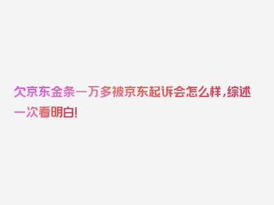 欠京东金条一万多被京东起诉会怎么样，综述一次看明白！