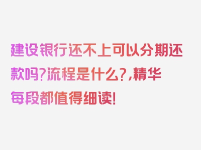 建设银行还不上可以分期还款吗?流程是什么?，精华每段都值得细读！
