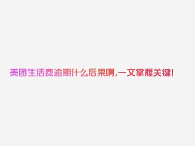 美团生活费逾期什么后果啊，一文掌握关键！
