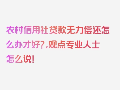 农村信用社贷款无力偿还怎么办才好?，观点专业人士怎么说！