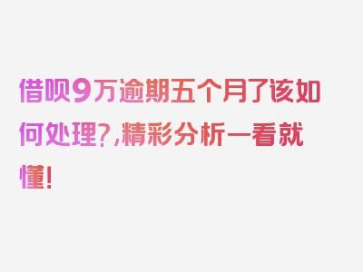 借呗9万逾期五个月了该如何处理?,精彩分析一看就懂！