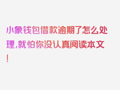 小象钱包借款逾期了怎么处理,就怕你没认真阅读本文!