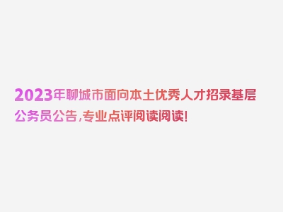 2023年聊城市面向本土优秀人才招录基层公务员公告,专业点评阅读阅读！