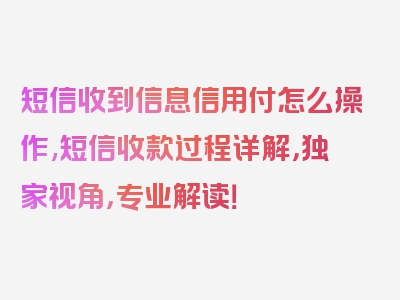 短信收到信息信用付怎么操作,短信收款过程详解，独家视角，专业解读！