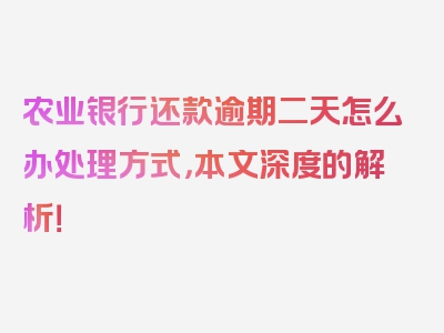 农业银行还款逾期二天怎么办处理方式，本文深度的解析！