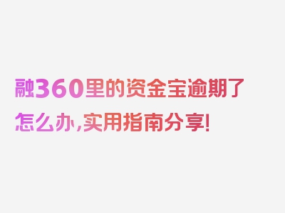 融360里的资金宝逾期了怎么办，实用指南分享！