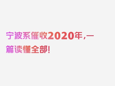 宁波系催收2020年，一篇读懂全部！