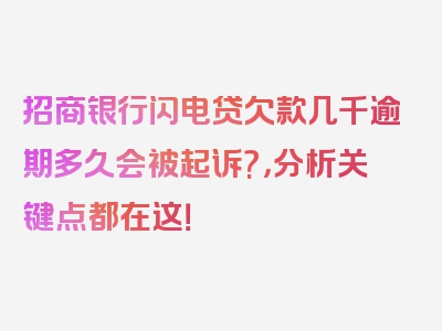 招商银行闪电贷欠款几千逾期多久会被起诉?，分析关键点都在这！