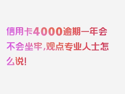 信用卡4000逾期一年会不会坐牢，观点专业人士怎么说！