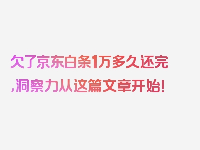 欠了京东白条1万多久还完，洞察力从这篇文章开始！
