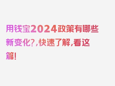 用钱宝2024政策有哪些新变化?，快速了解，看这篇！