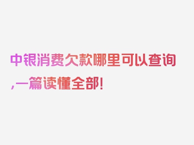 中银消费欠款哪里可以查询，一篇读懂全部！