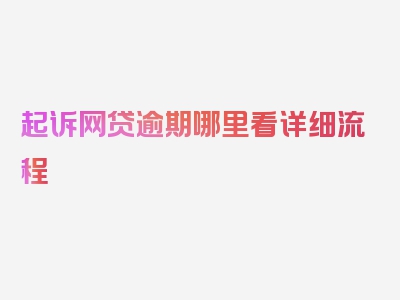 起诉网贷逾期哪里看详细流程