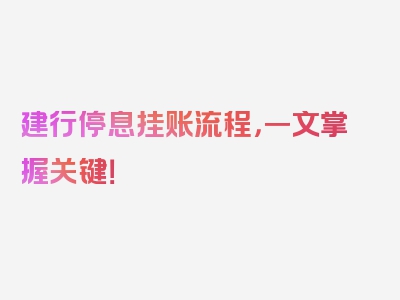建行停息挂账流程，一文掌握关键！