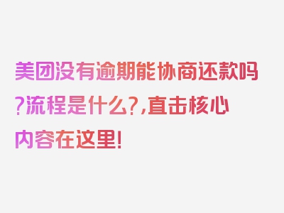 美团没有逾期能协商还款吗?流程是什么?，直击核心内容在这里！