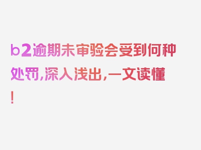 b2逾期未审验会受到何种处罚，深入浅出，一文读懂！