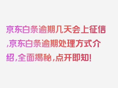 京东白条逾期几天会上征信,京东白条逾期处理方式介绍，全面揭秘，点开即知！