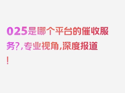 025是哪个平台的催收服务?，专业视角，深度报道！