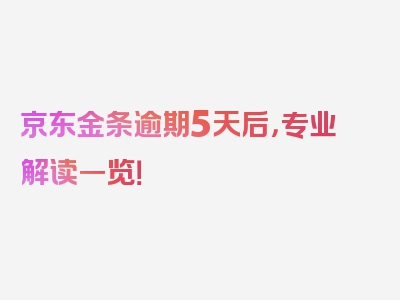 京东金条逾期5天后，专业解读一览！