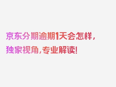 京东分期逾期1天会怎样，独家视角，专业解读！