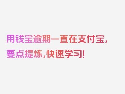 用钱宝逾期一直在支付宝，要点提炼，快速学习！