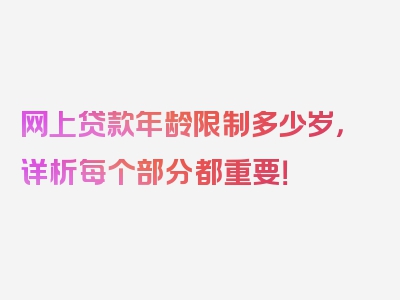 网上贷款年龄限制多少岁，详析每个部分都重要！