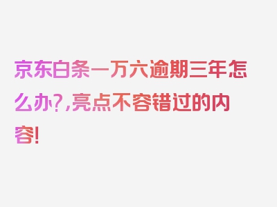 京东白条一万六逾期三年怎么办?，亮点不容错过的内容！