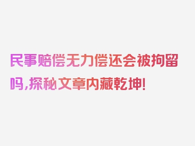 民事赔偿无力偿还会被拘留吗，探秘文章内藏乾坤！