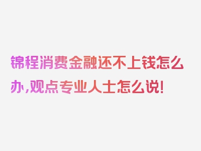 锦程消费金融还不上钱怎么办，观点专业人士怎么说！
