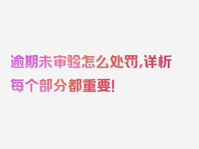 逾期未审验怎么处罚，详析每个部分都重要！