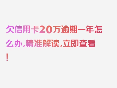 欠信用卡20万逾期一年怎么办，精准解读，立即查看！