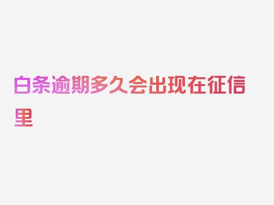 白条逾期多久会出现在征信里