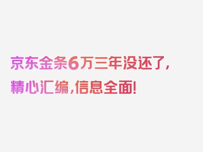 京东金条6万三年没还了，精心汇编，信息全面！