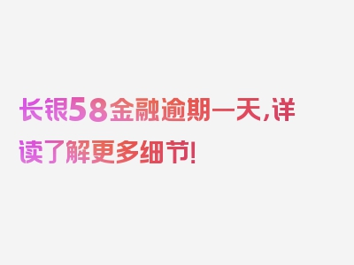 长银58金融逾期一天，详读了解更多细节！