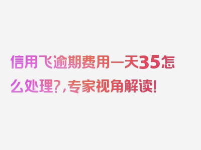 信用飞逾期费用一天35怎么处理?，专家视角解读！