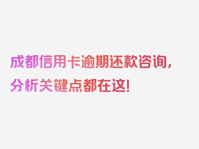 成都信用卡逾期还款咨询，分析关键点都在这！