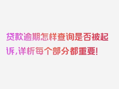 贷款逾期怎样查询是否被起诉，详析每个部分都重要！