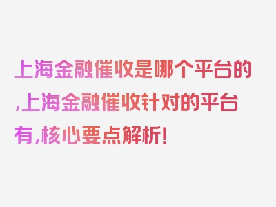 上海金融催收是哪个平台的,上海金融催收针对的平台有，核心要点解析！