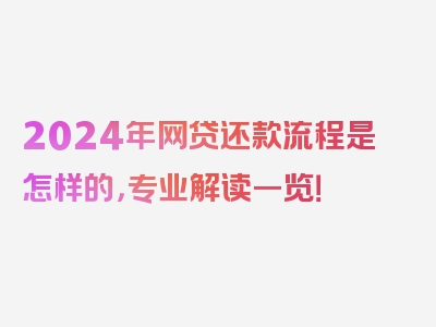 2024年网贷还款流程是怎样的，专业解读一览！