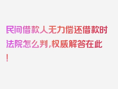 民间借款人无力偿还借款时法院怎么判，权威解答在此！