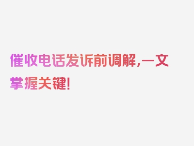 催收电话发诉前调解，一文掌握关键！