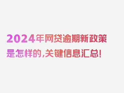 2024年网贷逾期新政策是怎样的，关键信息汇总！