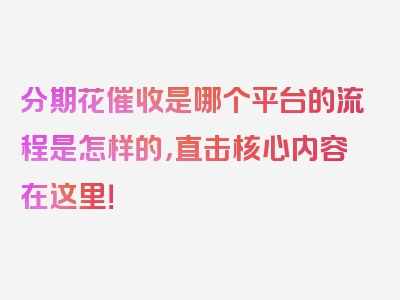 分期花催收是哪个平台的流程是怎样的，直击核心内容在这里！