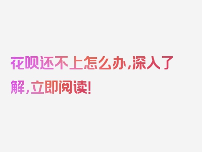 花呗还不上怎么办，深入了解，立即阅读！