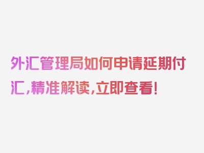 外汇管理局如何申请延期付汇，精准解读，立即查看！