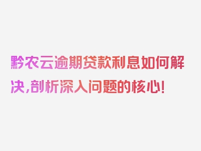 黔农云逾期贷款利息如何解决，剖析深入问题的核心！