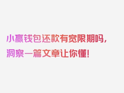 小赢钱包还款有宽限期吗，洞察一篇文章让你懂！