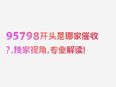 95798开头是哪家催收?，独家视角，专业解读！