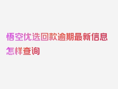 悟空优选回款逾期最新信息怎样查询