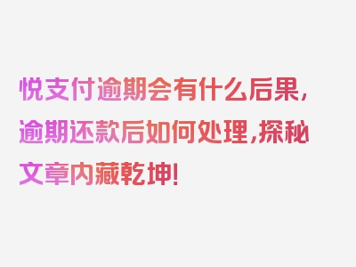 悦支付逾期会有什么后果,逾期还款后如何处理，探秘文章内藏乾坤！